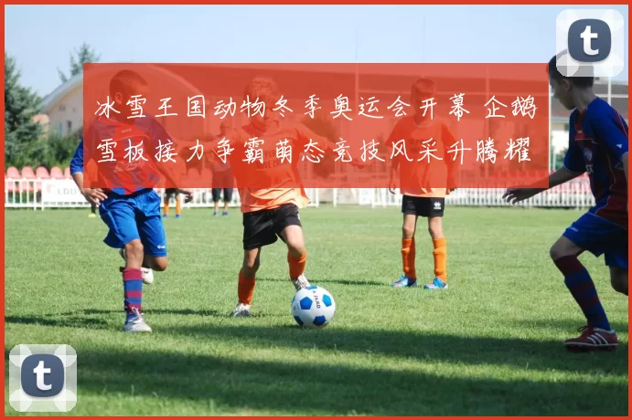 冰雪王国动物冬季奥运会开幕 企鹅雪板接力争霸萌态竞技风采升腾耀