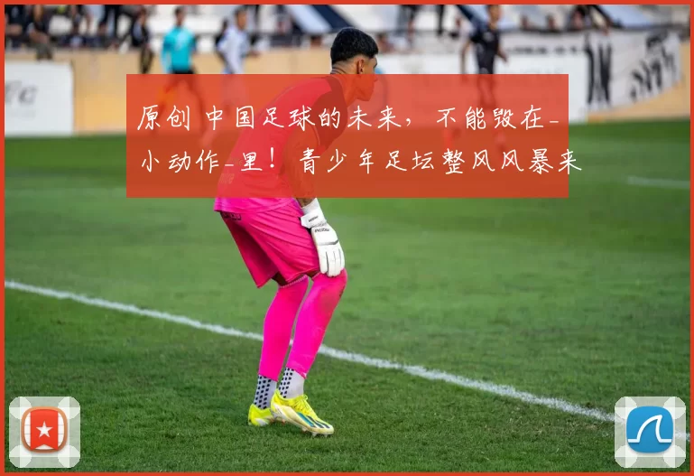 原创 中国足球的未来，不能毁在_小动作_里！青少年足坛整风风暴来了