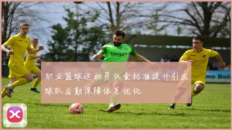 职业篮球运动员伙食标准提升引发球队后勤保障体系优化